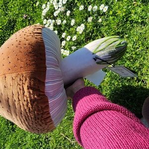 Decrotive Mushroom pillow